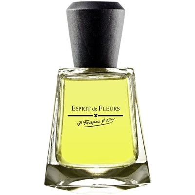 Tester P Frapin&Cie Esprit de Fleurs edp 100 ml