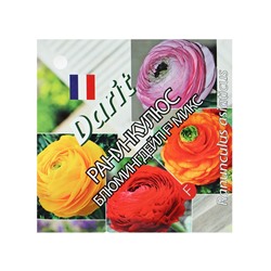 Семена цветов Ранункулюс "Блюмингдейл", 5 шт.