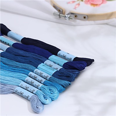 Набор ниток мулине, 8 ± 0,5 м, 9 шт, цвет синий спектр