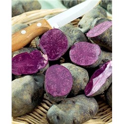 Семенной Картофель Чудесник, арт.: 4087