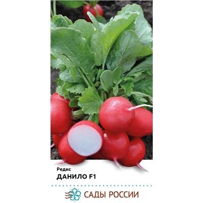 Семена Редис Данило F1, арт.: 74371