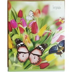 Тетрадь 36 листов в клетку Calligrata "Бабочки", обложка мелованная бумага, блок №2, белизна 75% (серые листы), МИКС