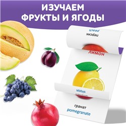 Книга по методике Г. Домана «Фрукты и ягоды», на казахском языке