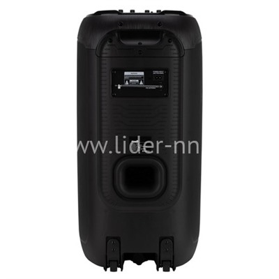 Колонка 08" (30-29 DANCE BOX 1000 NEW) динамик 2шт/8" ElTRONIC с TWS