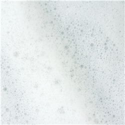 Aravia Laboratories Пенка для умывания с коллоидной серой и экстрактом женьшеня / Anti-Acne Cleansing Foam, 150 мл