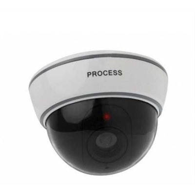 Камера видеонаблюдения  DUMMY CAMERA DS-1500B муляж (30) оптом
