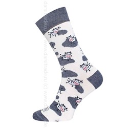 Носки женские 21С4200В 006 Брестские Fajna Socks Conte [6шт] Дроп х/б