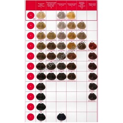 CONCEPT Краска 100 мл ТОН УКАЗЫВАЕМ В ПРИМЕЧАНИИ К ЗАКАЗУ! Можно указать замену