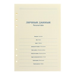 Сменный блок для органайзера А5, 80 листов в клетку, тонированный «Кремовый»