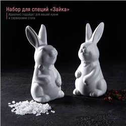 Набор для специй Доляна «Зайка», солонка 50 мл, перечница 50 мл, доломит, белый