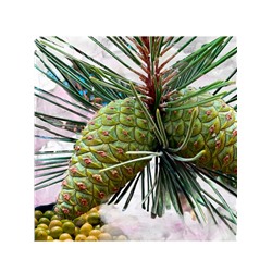 BYREDO Le Corps Gypsy Water Körperpflegeset Подарочный набор "Gyrsy Water" для тела: лосьон и средство для душа