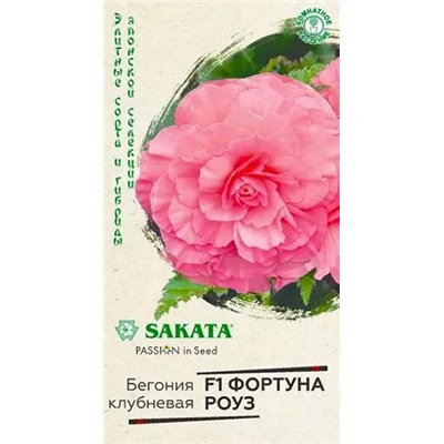 Семена Бегония Фортуна Роуз F1, арт.: 11805