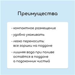 Набор для рассады: стаканы по 250 мл (6 шт.), ящик 25×16 см, МИКС