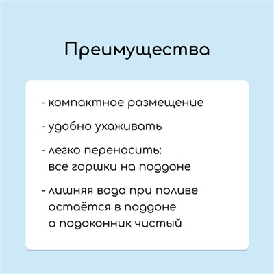 Набор для рассады: стаканы по 250 мл (6 шт.), ящик 25×16 см, МИКС