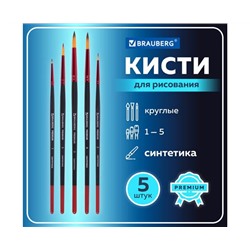 Кисти BRAUBERG PREMIUM, набор 5шт. (синтетика, круглая  №1,2,3,4,5), блистер, 201025