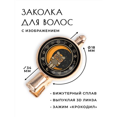 HZF-0244 Заколка Сова на месяце