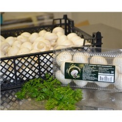 Грибы свежие шампиньоны сорт А 3кг в ящике