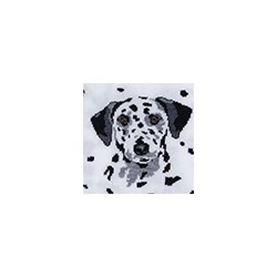 Носки женские 21С4200 157 Брестские Pets Conte [6шт] Дроп
