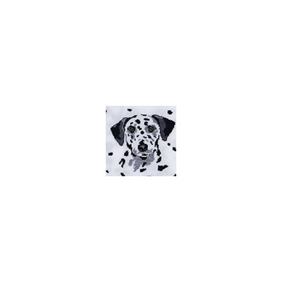 Носки женские 21С4200 157 Брестские Pets Conte [6шт] Дроп