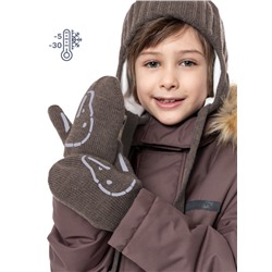 Варежки двойные NIKASTYLE 14з17024 Кофе