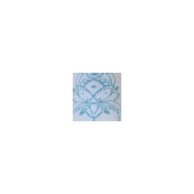 Носки женские 23С1362 609 Брестские Active Yoga Conte [6шт] Дроп х/б