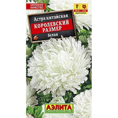Семена Астра Королевский размер белая, арт.: 3531