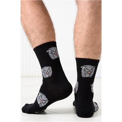 Носки мужские Драматик кот (набор 2 пары)