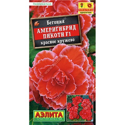 1161 Бегония Америгибрид Пикоти F1 красное кружево 5шт