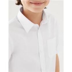 2pk Boys' Non-Iron School Shirts (2-18 Yrs)