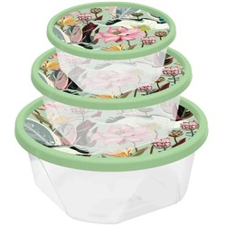 Набор контейнеров для продуктов 3шт (0,4л+0,85л+1,4л) "Botanica" с декором зеленый