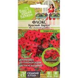 Флокс друммонда Красный Бархат Яр.б