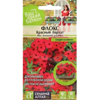 Флокс друммонда Красный Бархат Яр.б