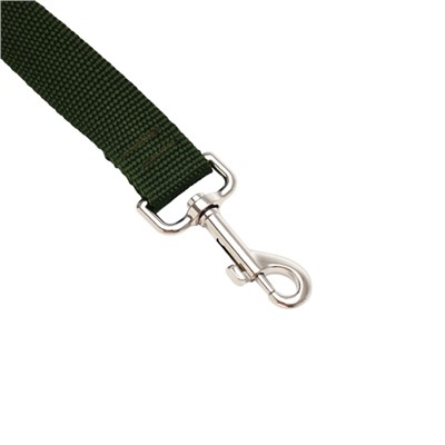 Поводок 3 м × 2.5 см, зелёный