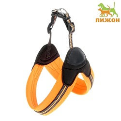 Шлейка супермягкая со светоотражающей прошивкой, обхват 48-54 см, оранжевая