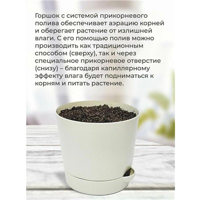 Набор д/выращивания "Тысяча листьев премиум", "Огненное дерево"