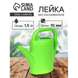 Лейка, 1.5 л, без рассеивателя, носик d =10 мм