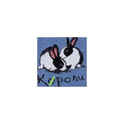Носки женские 21С4200 164 Брестские Pets Conte [6шт] Дроп