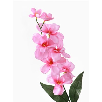 Цветы искусственные «Орхидея амезиелла», h=65 см, розовые