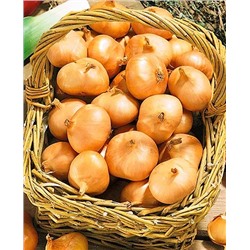 Лук семейный (шалот) Альбик, арт.: 4519