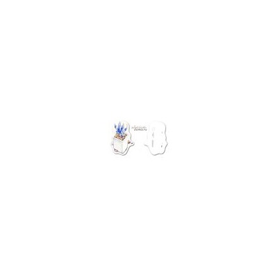 Открытка Cotyledon WHATE SPRITE (Котиледон)