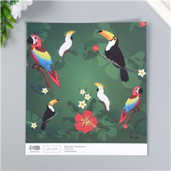 Бумага для скрапбукинга двусторонняя «Попугаи, фламинго и зебры», плотность 180 г, 15.5×17 см