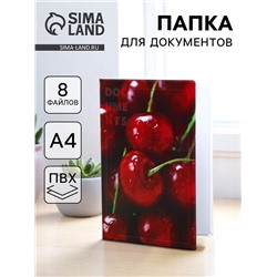 Папка для документов Docs, 8 файлов А4