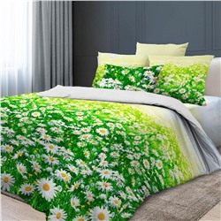 Простыня евро (220*240) бязь Премиум Реноме<6291-1> (арт.38/005)