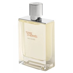 Hermes Terre d'Hermes Eau Givree edp for men 100 ml A-Plus