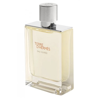 Hermes Terre d'Hermes Eau Givree edp for men 100 ml A-Plus