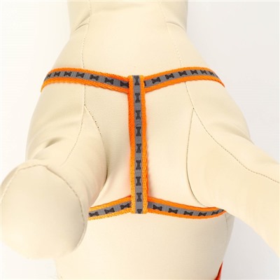 Комплект светоотражающий «Косточки», ошейник 120×1 см, ОШ 24-40 см, ОГ 24-40 см оранжевый