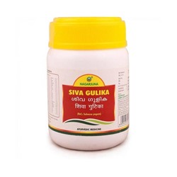 Siva Gulika (Шива Гулика)