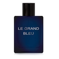 DILIS LE GRAND BLEU men 100 мл edt
