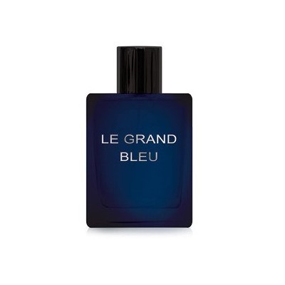 DILIS LE GRAND BLEU men 100 мл edt