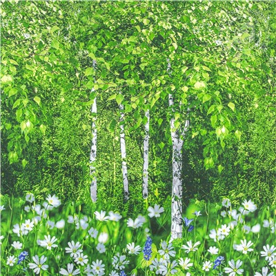 КПБ Белая березонька поплин Арт Дизайн